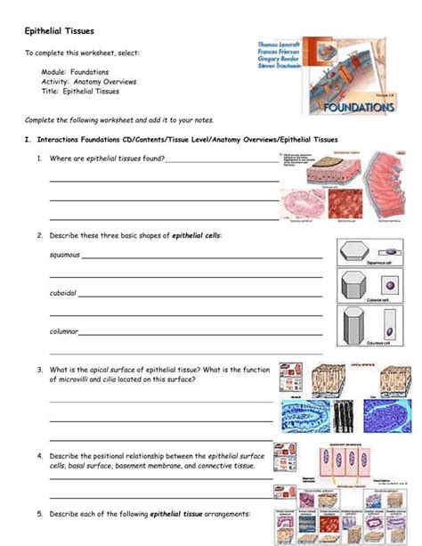 Anatomy Physiology Cells Tissues Answer Key