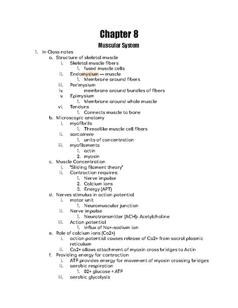 Anatomy Physiology Chapter 8 Packet Answers