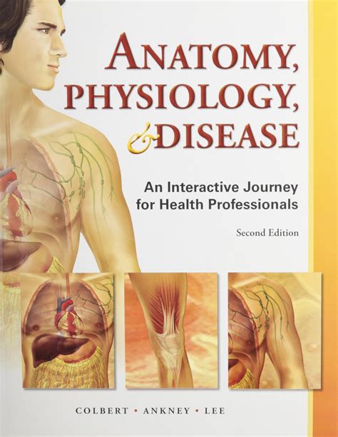 anatomy physiology workbook interactive journey
