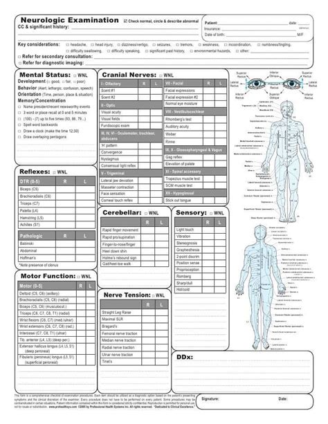 Anatomy Practical Exam Questions
