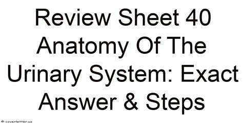 anatomy review urinary system answer key