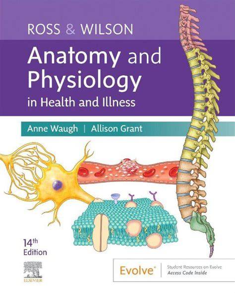 anatomy ross wilson