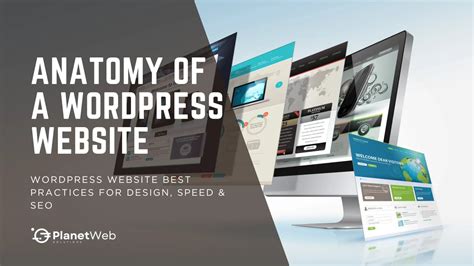 Anatomy Wordpress