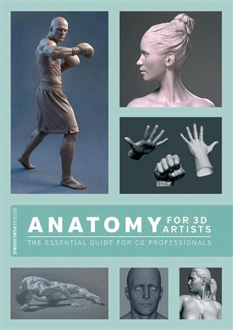 Download Anatomy 3D Artists Essential Professionals Overcairn 