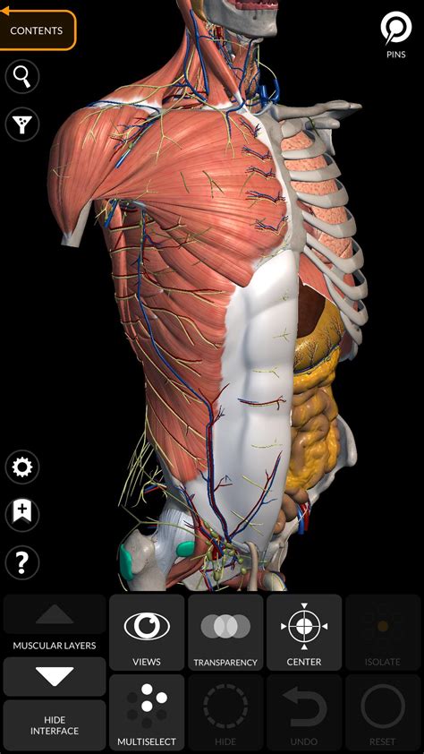 Anatomy 3D Atlas APK 3 1 1 for Android  Download Anatomy 3D Atlas XAPK