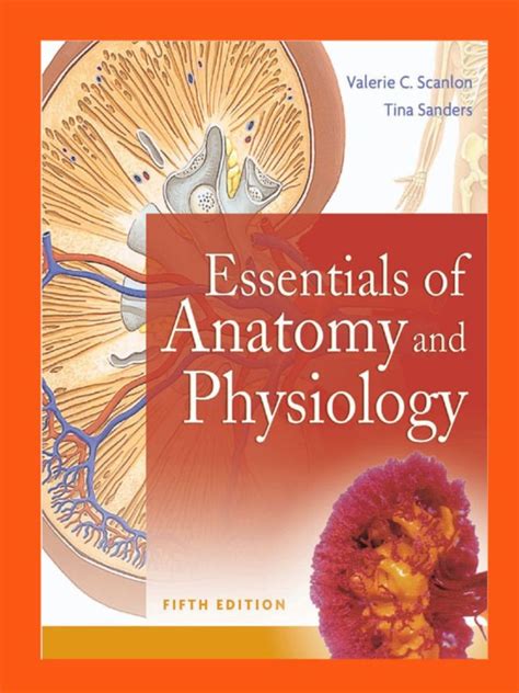 Download Anatomy Amp Physiology 5Th Edition 