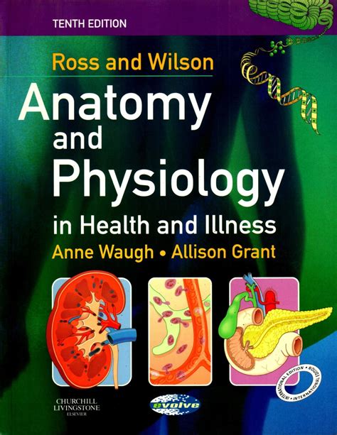 Read Online Anatomy And Physiology By Ross And Wilson 