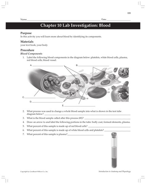 Full Download Anatomy And Physiology Chapter 10 Blood Worksheet Answers 