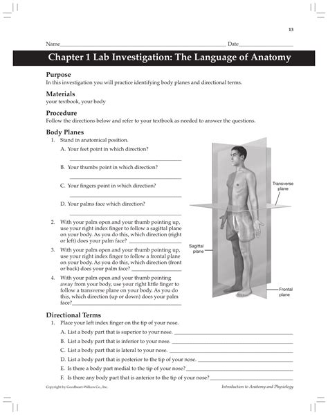 Download Anatomy And Physiology Coloring Workbook Answer Key Chapter 1 