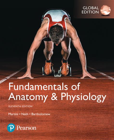 Download Anatomy And Physiology Pearson Edition 