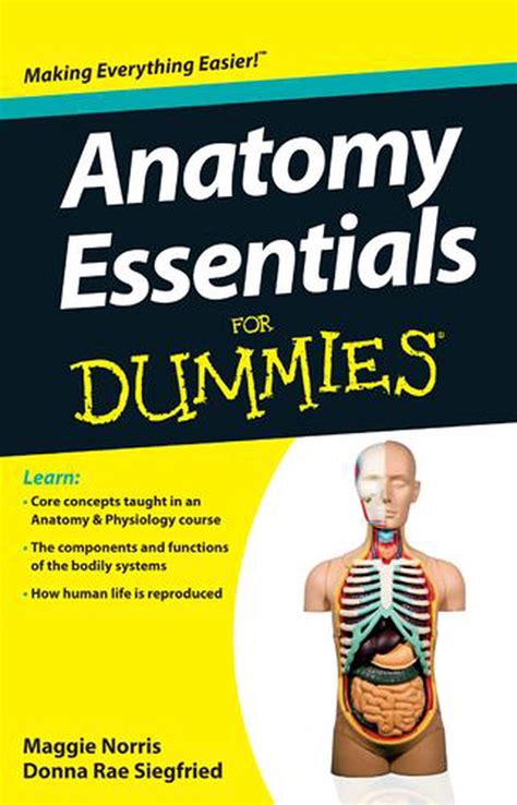 Read Online Anatomy Essentials For Dummies 