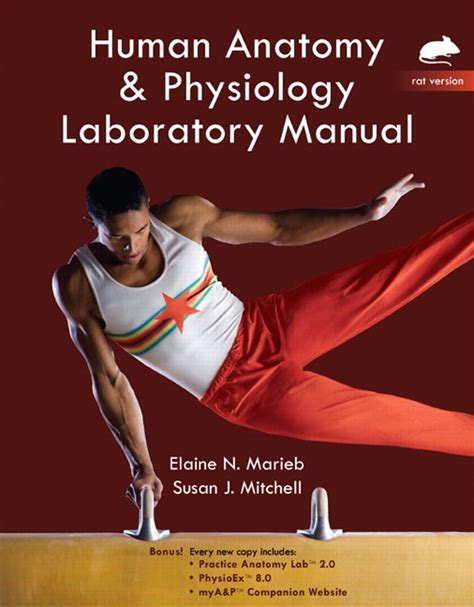 Read Anatomy Lab Manual Exercise 13 Answers 