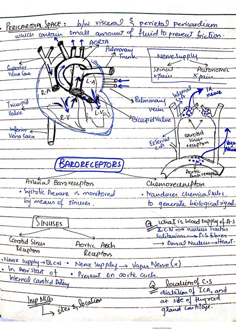 Full Download Anatomy Module 16 Study Guide Answers 