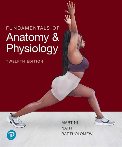 Download Anatomy Physiology Martini 9Th Edition Study Guide 