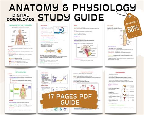 Read Anatomy Study Guide And Test Questions 