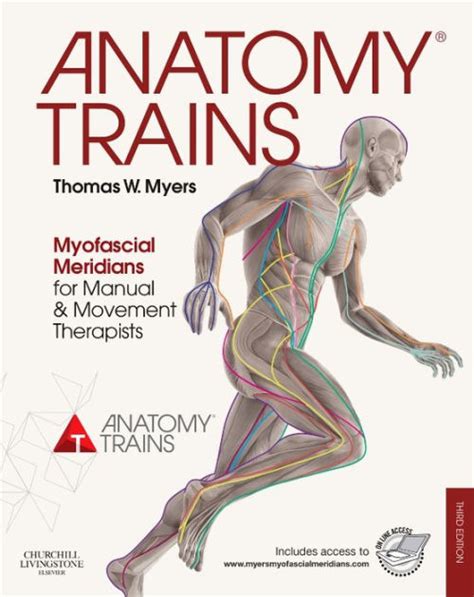 Read Online Anatomy Trains Myofascial Meridians For Manual And Movement Therapists 3Rd Edition 