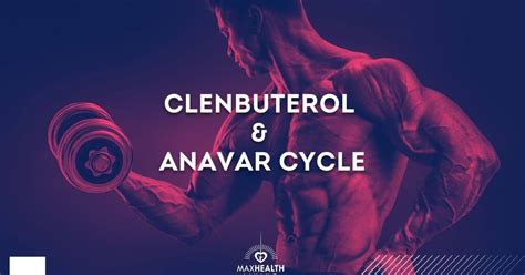 anavar clen and test cycle​