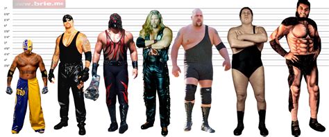 André The Giant Height