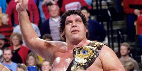 Andre The Giant Cause Of Death