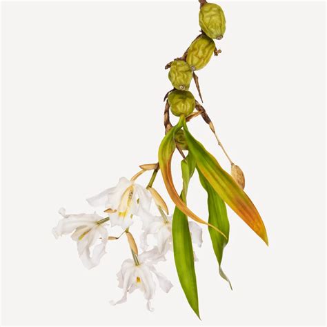 andrew zuckerman biography