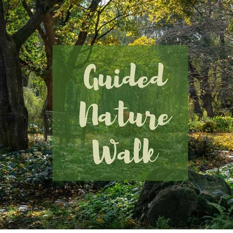 Android App For Guided Nature Walks   10 Best Nature Apps And Nature Sound Apps - Android App For Guided Nature Walks