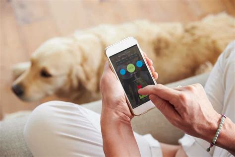 Android App For Pet Health Tracking   Apps For Pet Owners Development Guide Of Pet - Android App For Pet Health Tracking