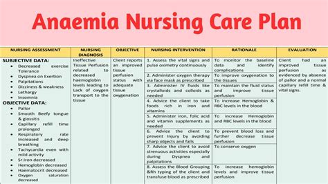 Anemia Care Plan