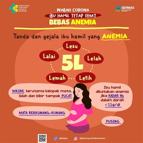 anemia ibu hamil kemenkes