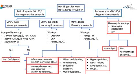 Anemias Flow Chart