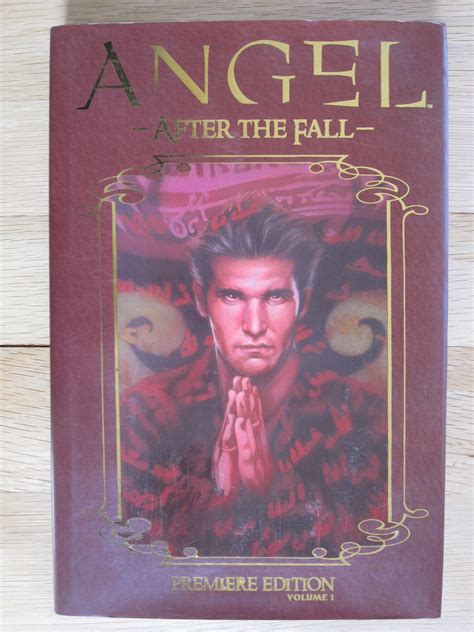 Angel After The Fall