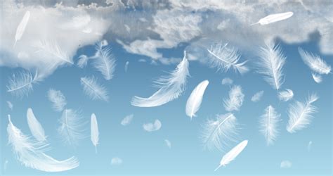angel feather background