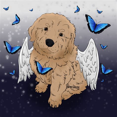 angel_pups