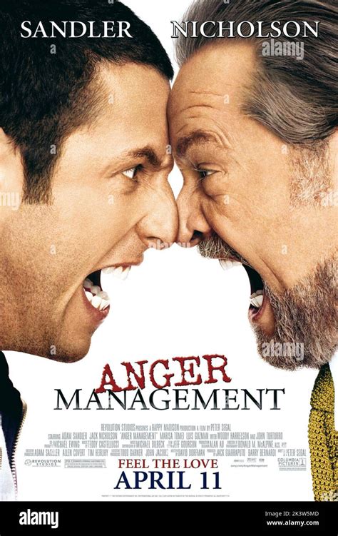 Anger Management 2003