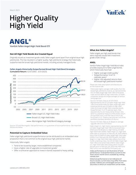 Domestic stock funds typically own many individ