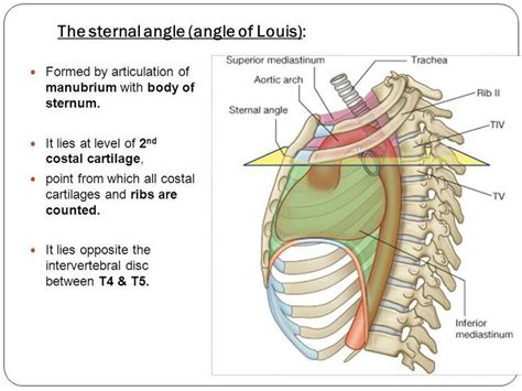 Angle Of Louis