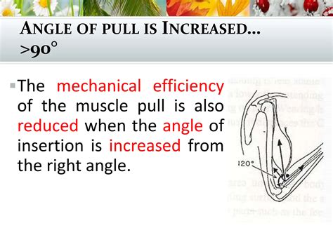 Angle Of Pull