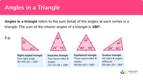 Angles In A Triangle Gcse Maths Steps Examples Triangle Angle Worksheet - Triangle Angle Worksheet