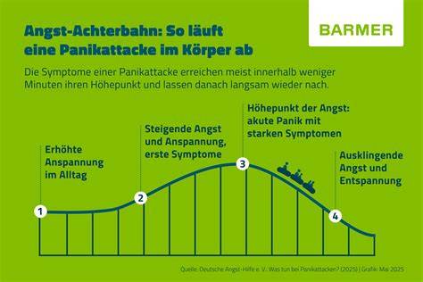 angste und panikattacken wie sie ihre angststorun