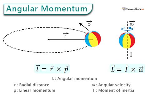Angular Momentum Of Multimode And Polarization Patter Ns