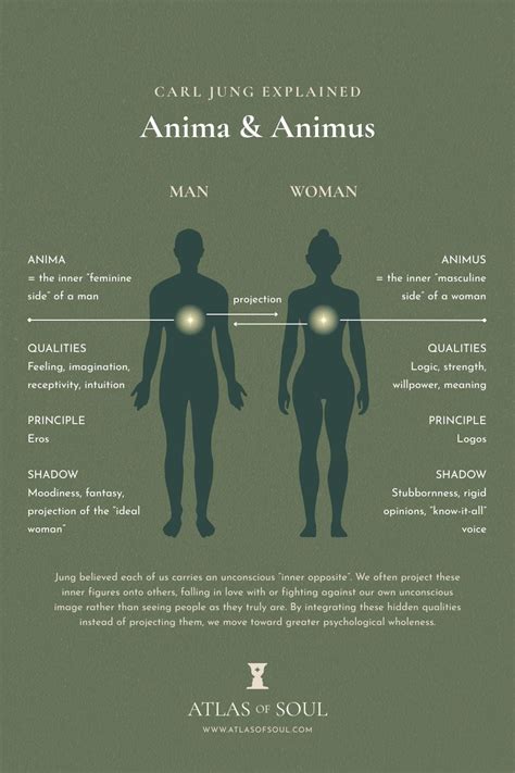 Anima And Animus