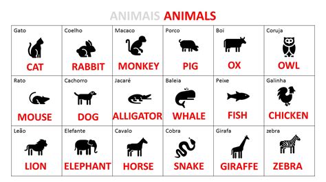 Animais Em Ingles