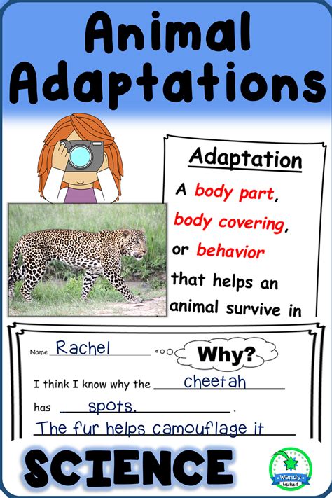 Animal Adaptations Research Fact Writing Activity For 3rd Adapatations Worksheet 3rd Grade - Adapatations Worksheet 3rd Grade