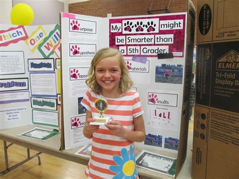 Animal Behavior Science Fair Project Ideas Sciencing Science Experiments With Cats - Science Experiments With Cats