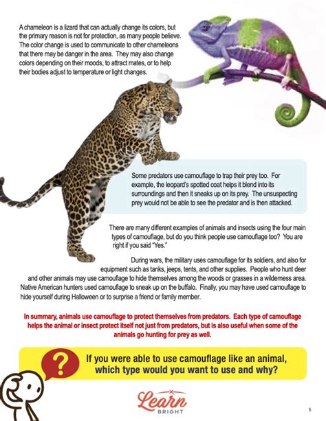 Animal Camouflage Free Pdf Download Learn Bright Animal Camouflage Worksheet - Animal Camouflage Worksheet