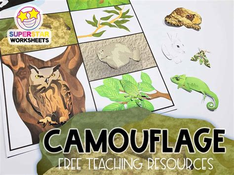 Animal Camouflage Worksheets Archives Amp Animal Camouflage Worksheet - Animal Camouflage Worksheet