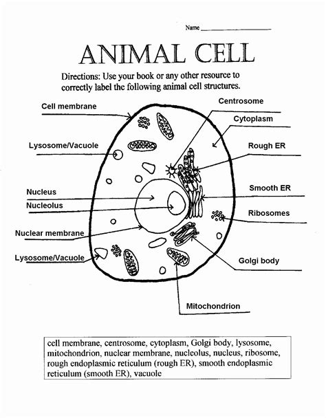 Animal Cell Parts Mdash Printable Worksheet Animal Cell Parts Worksheet - Animal Cell Parts Worksheet