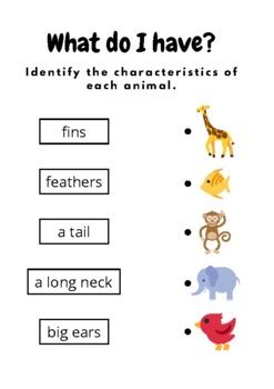 Animal Characteristics Identify And Match Esl Kindergarten Worksheet Kindergarten Animal Characteristic Worksheet - Kindergarten Animal Characteristic Worksheet