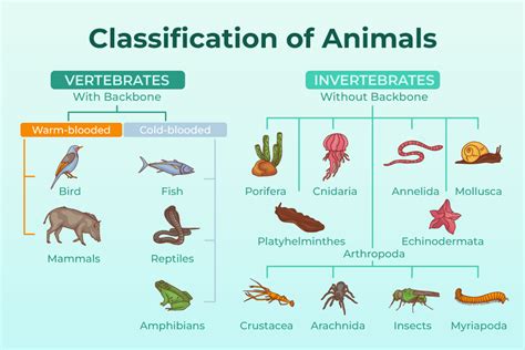 Animal Classification Class 10