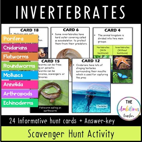 Animal Classifications Activity Invertebrates Scavenger Hunt Table 3 Invertebrate Worksheet - Table 3 Invertebrate Worksheet