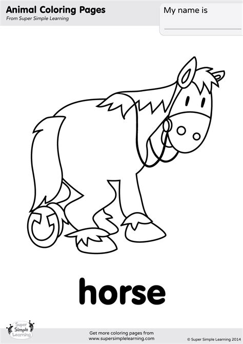 Animal Coloring Info Pages Aa Af Allaboutnature Com Learning Colors Coloring Pages - Learning Colors Coloring Pages